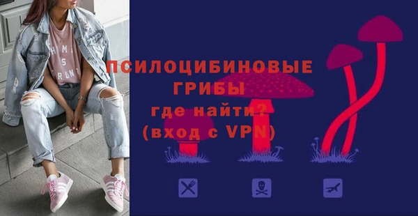 индика Нефтегорск