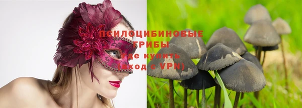 гашиш Новокубанск
