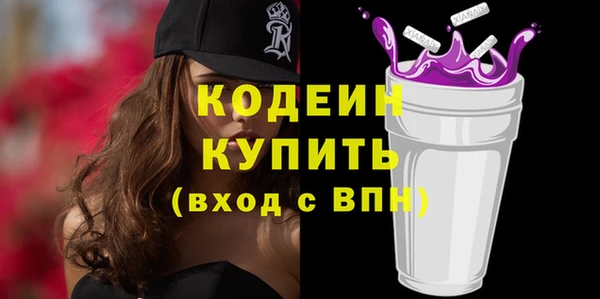 индика Нефтегорск