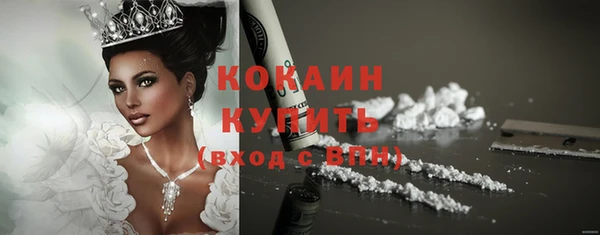 a pvp Новозыбков
