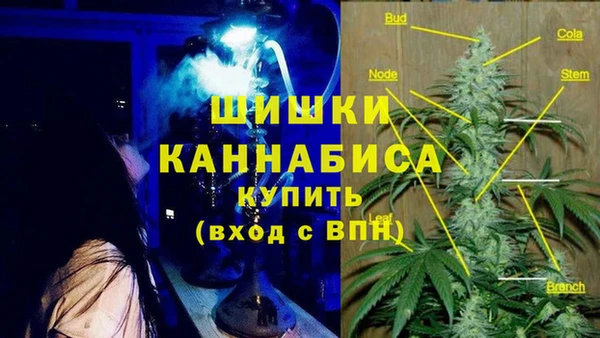 индика Нефтегорск