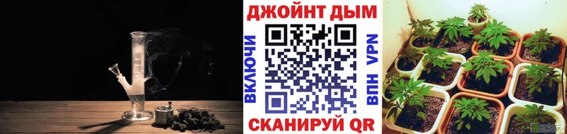 МЕГА как войти  Серафимович  Марихуана конопля 